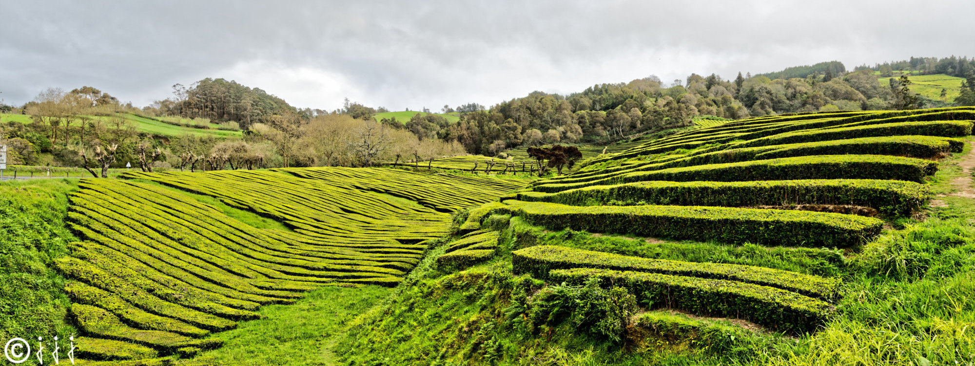 Paysage île de São Miguel aux Açores.