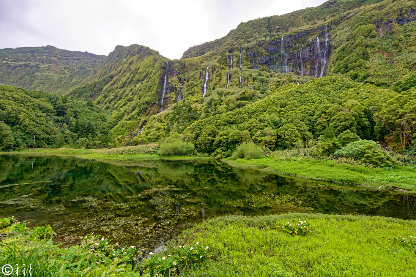 Paysage île de Flores aux Açores.