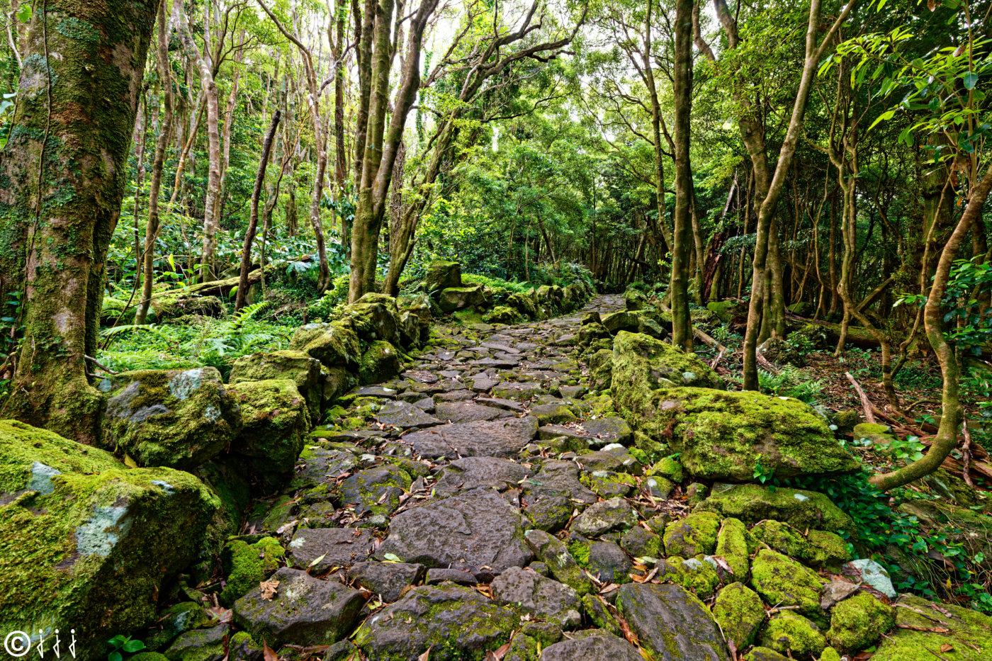 Paysage île de Flores aux Açores.