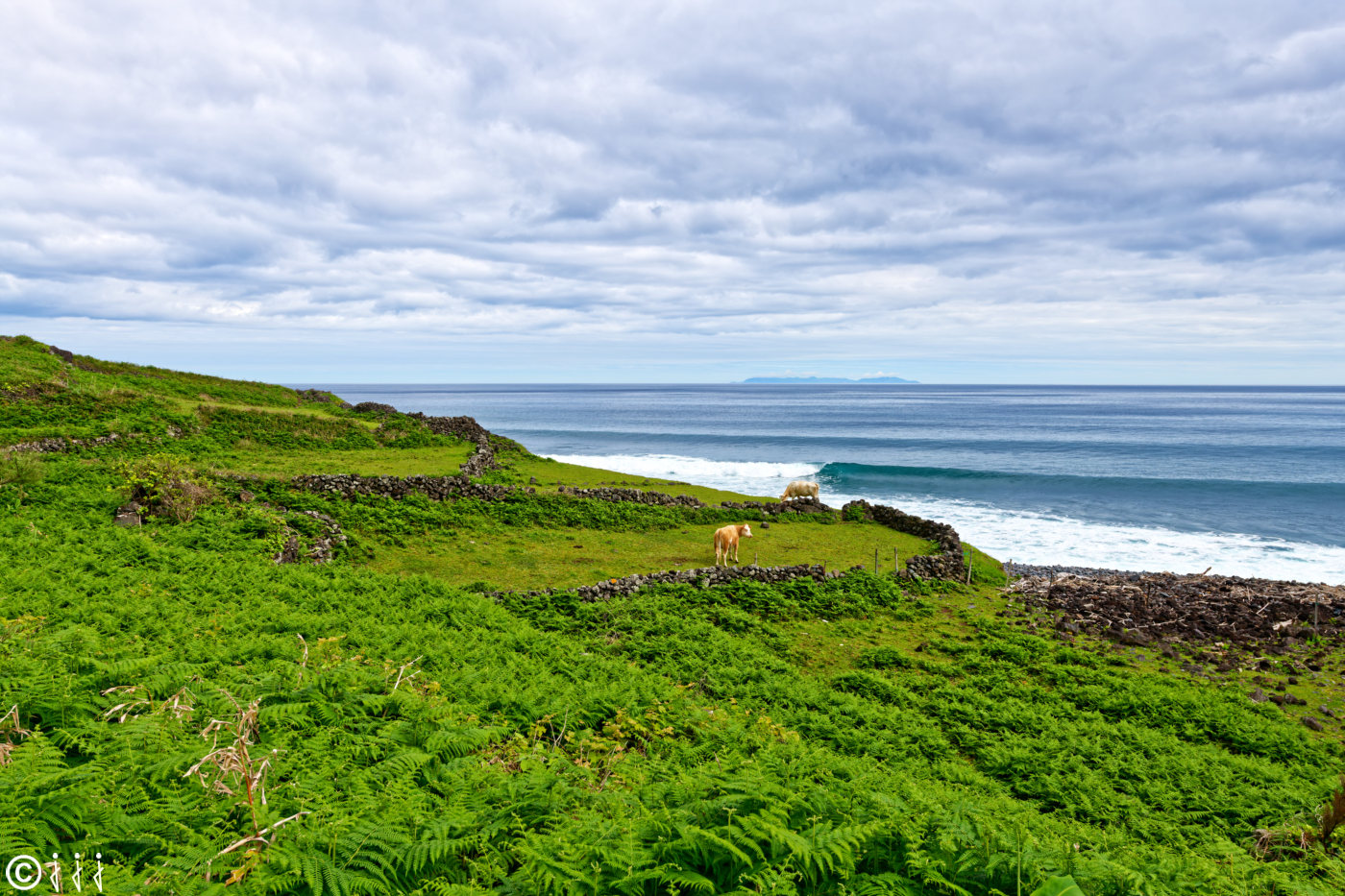 Paysage île de São Jorge aux Açores.