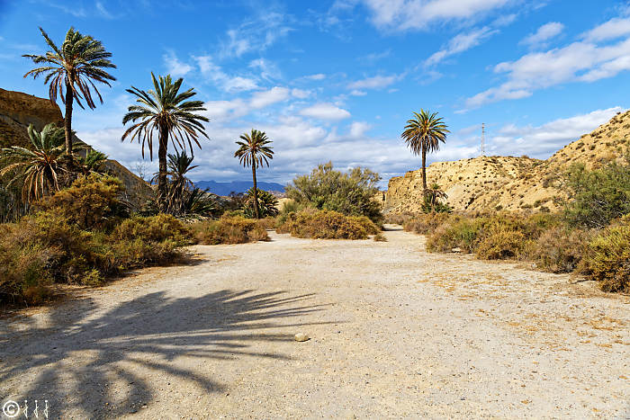 Le désert de Tabernas.