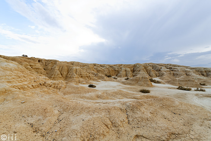 Las bardenas reales.
