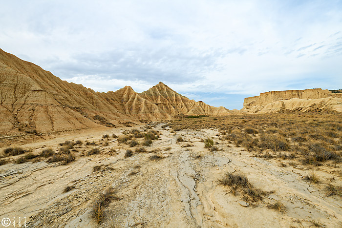 Las bardenas reales.