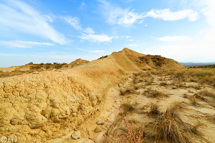 Las bardenas reales.