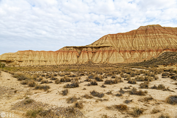 Las bardenas reales.