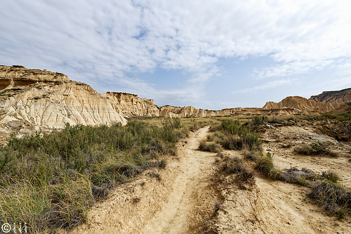 Las bardenas reales.