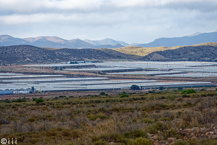 La mer de plastique à deux pas du parc Gabo de Gata.