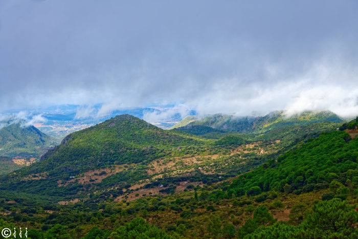 Parc naturel de la Sierra de Grazalema.