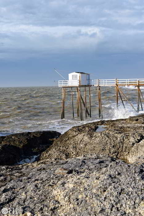 Carrelet charente maritime