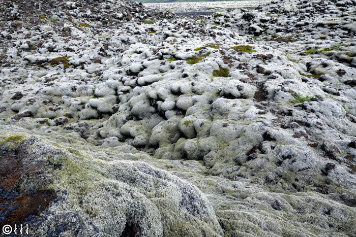 Mousse et champs de lave en Islande.