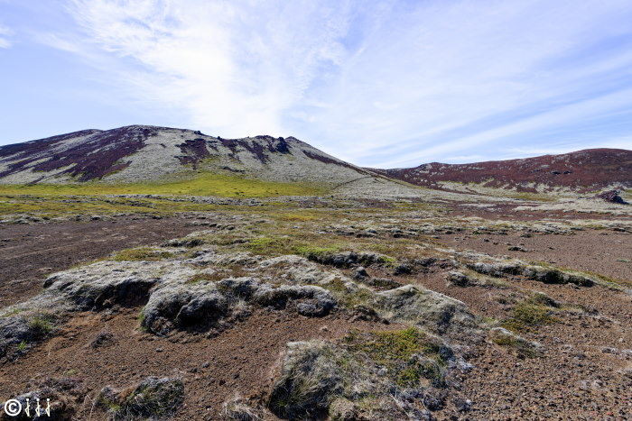 Champs de lave à Snaefellsnes.