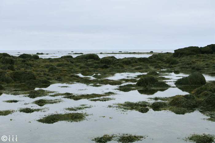 La plage d'Hyri Tunga.