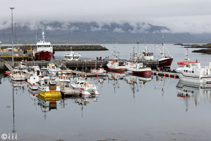 Le port Djupivogur.