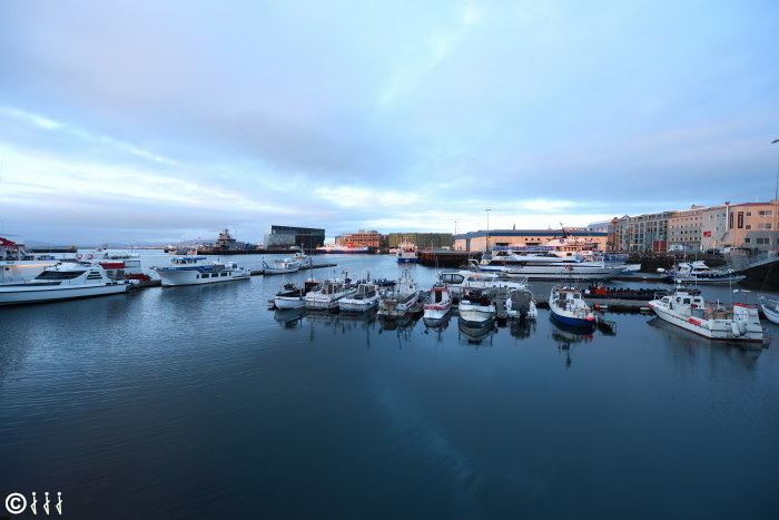 Vieux port de Reykjavik