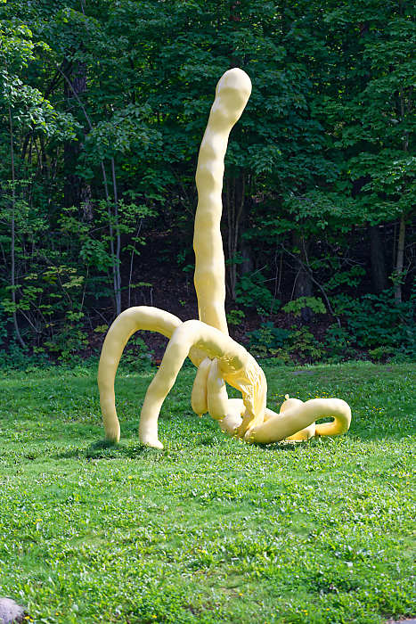 Œuvre de Sarah Lucas : Deep Cream Maradona