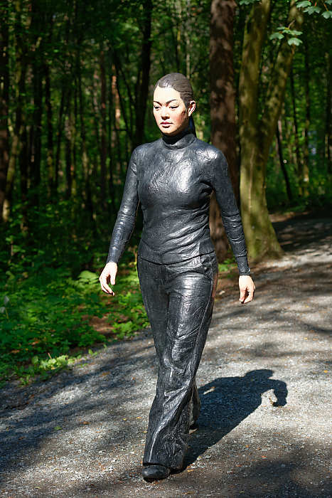 Œuvre de SEAN HENRY : Walking Woman.