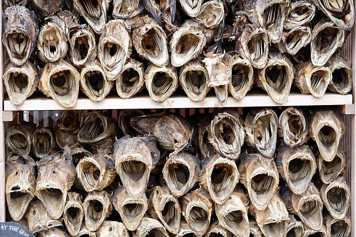 Têtes de morues séchées.