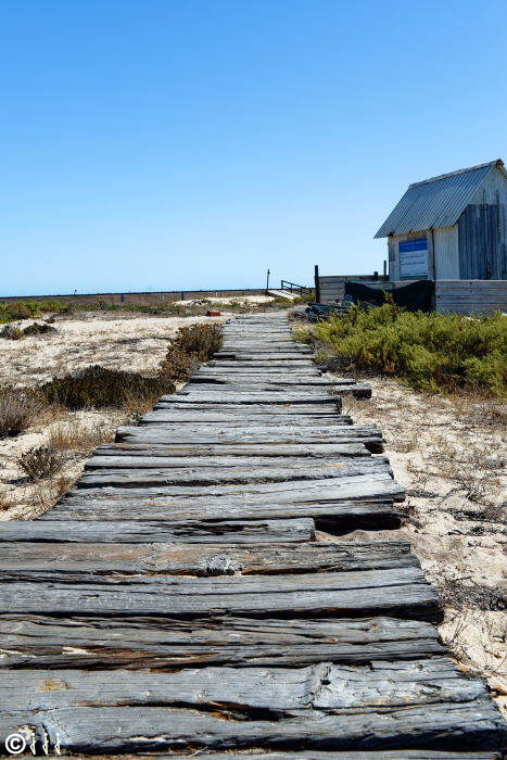 photo sur l'ile déserte au large de Faro