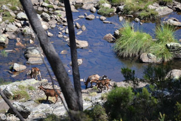 point de vue sur le parc d'Alvao.