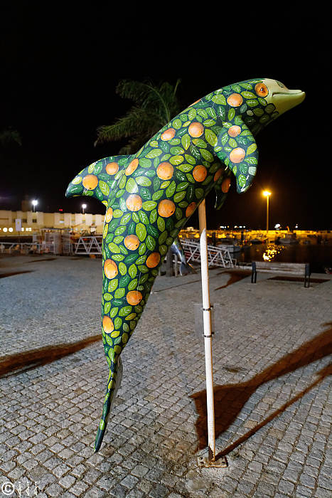 Street art, dauphins à setubal
