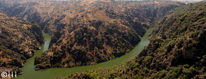 point de vue sur le douro.