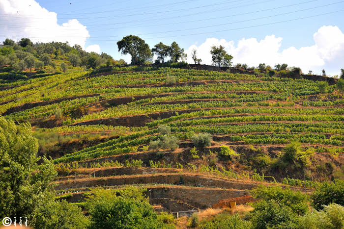 paysage croisiere douro.