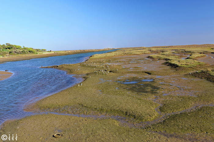 Ria Formosa