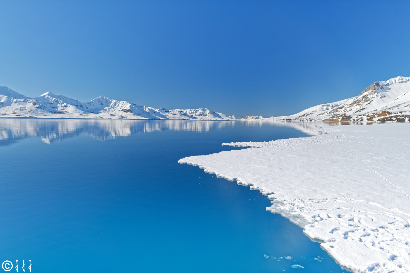 Dans les glaces du Spitzberg.