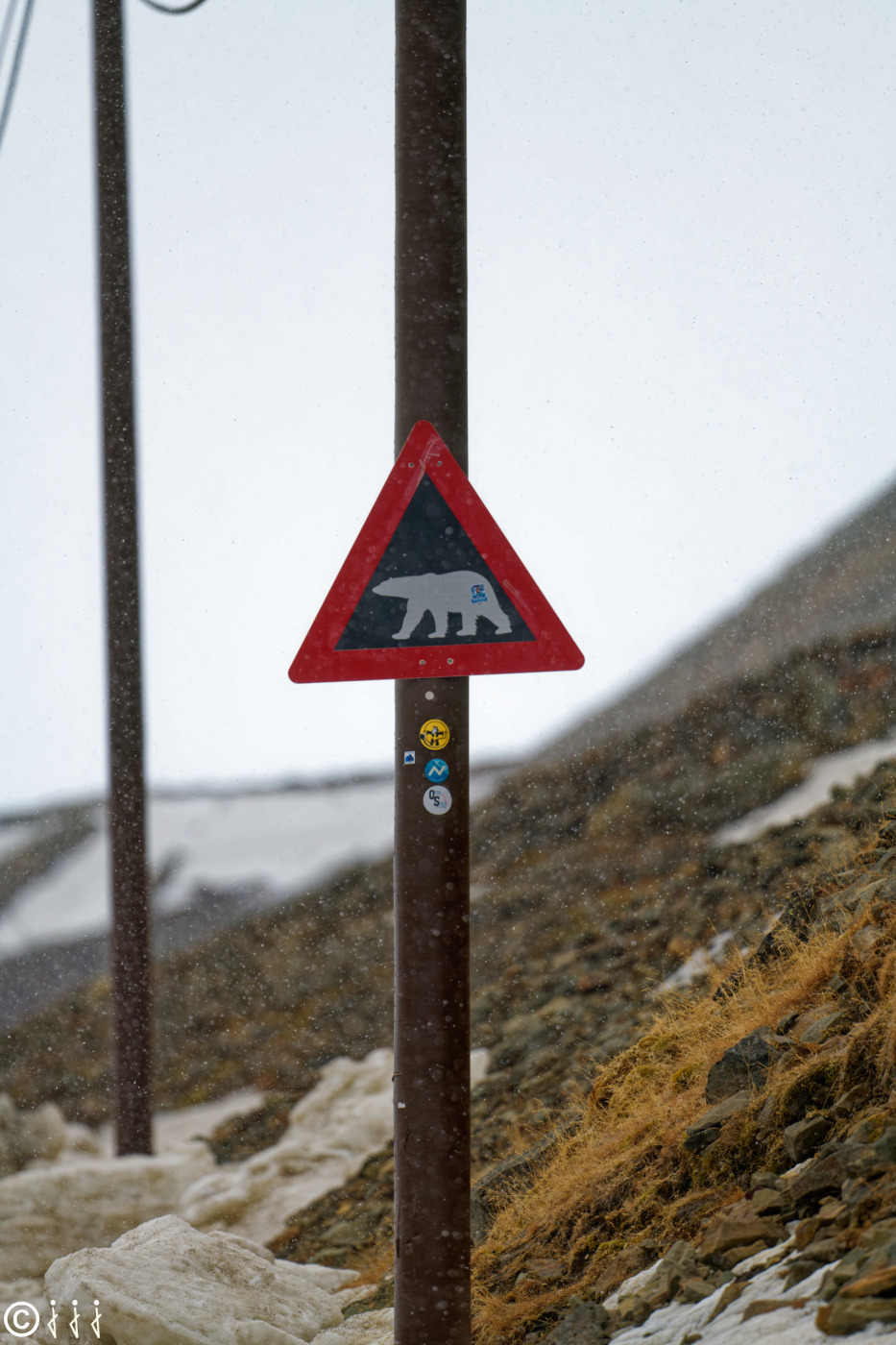 Panneau attention aux ours.