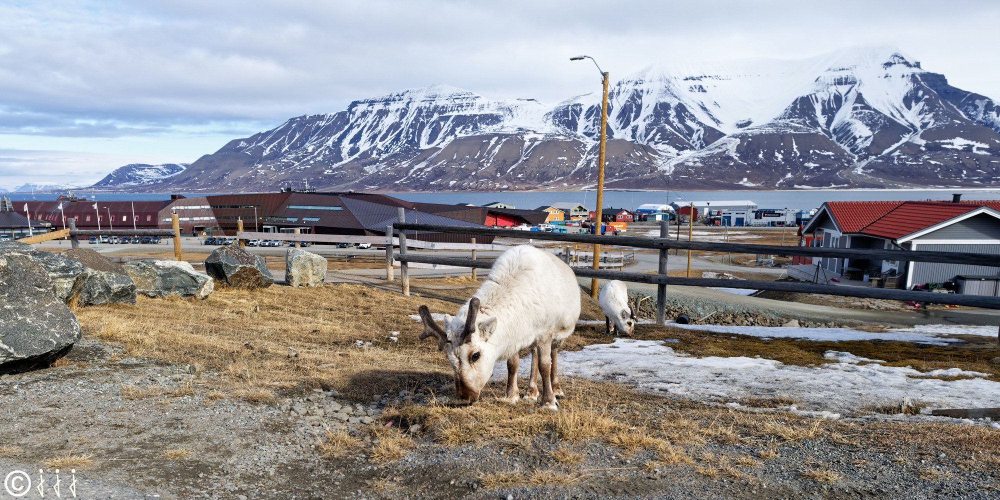 Université de Longyearbyen.